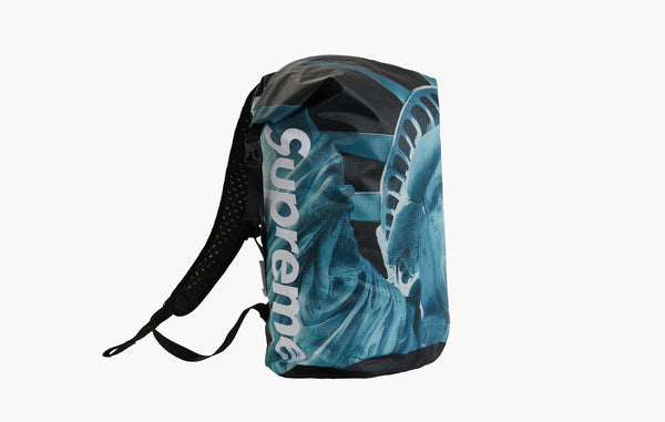 Supreme The North Face Statue of Liberty Waterproof Backpack Black | The Sortage