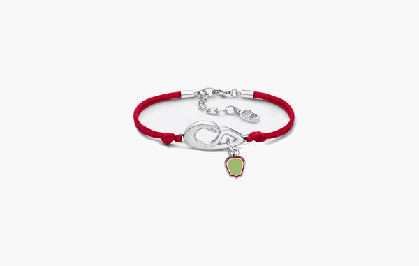 Dior x KAWS Bracelet Vermilion Red | The Sortage