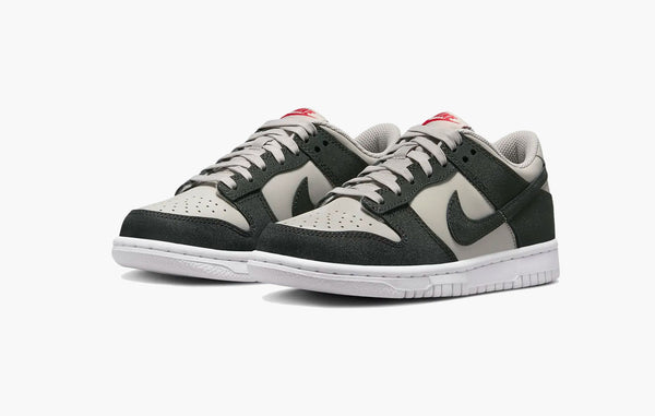 Nike Dunk Low GS Light Iron Ore White Gym Red Anthracite - FZ1000 001 | The Sortage 