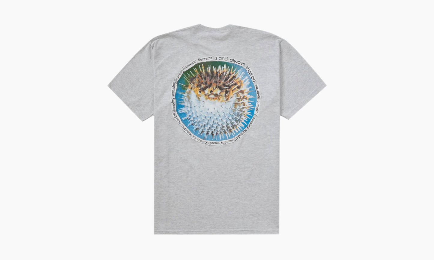 Supreme Blowfish Tee Ash Grey | The Sortage