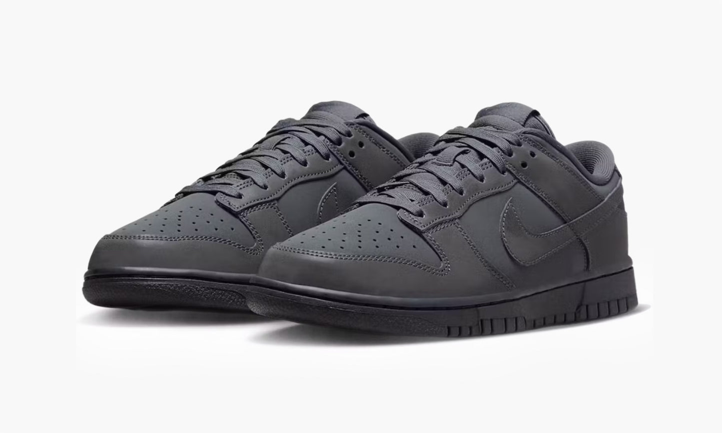 Nike Dunk Low WMNS Cyber Reflective - FZ3781 060 | The Sortage