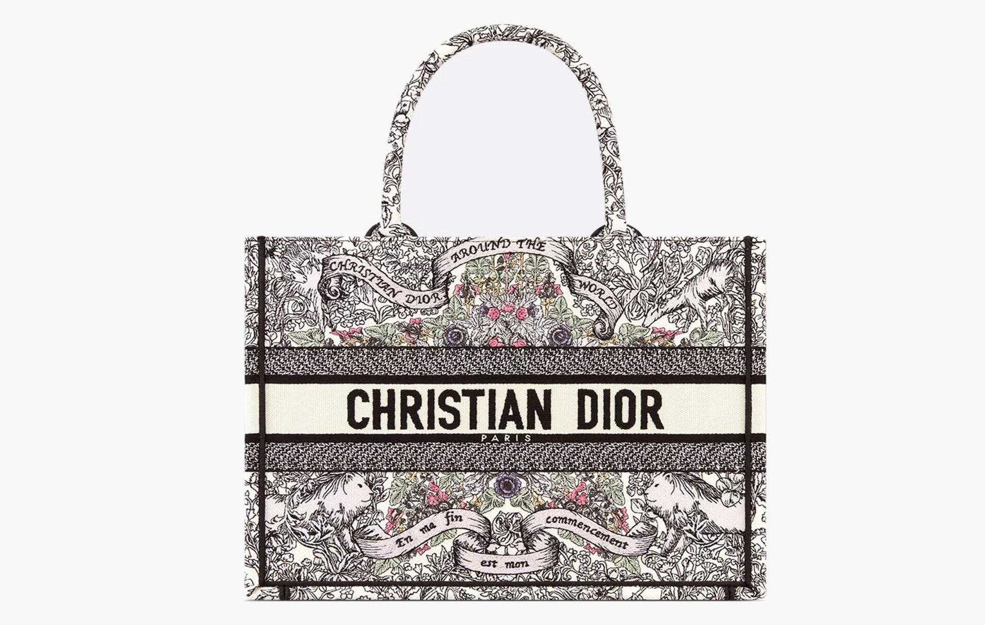 Dior Medium Dior Book Tote Latte Embroidery | The Sortage