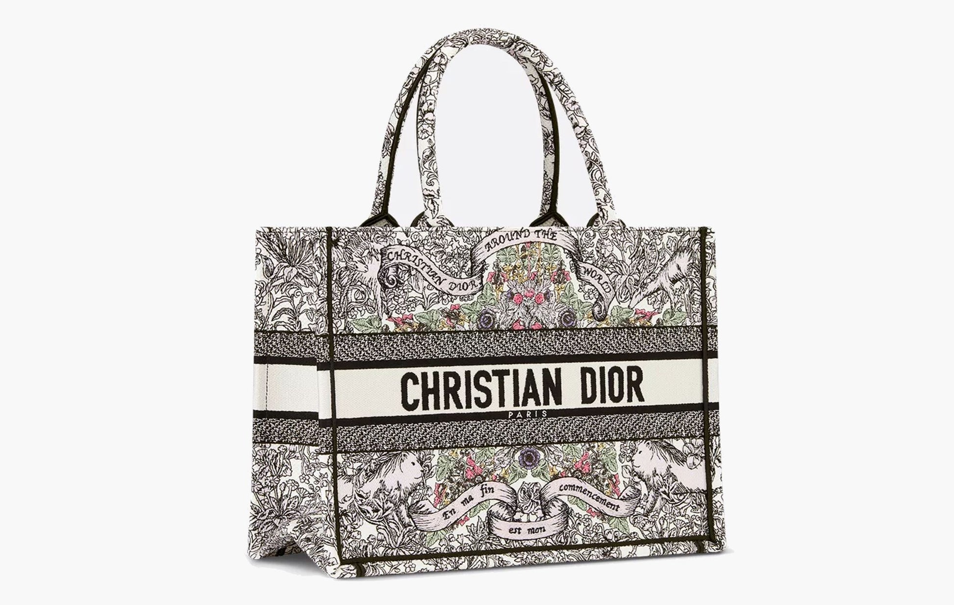 Dior Medium Dior Book Tote Latte Embroidery | The Sortage