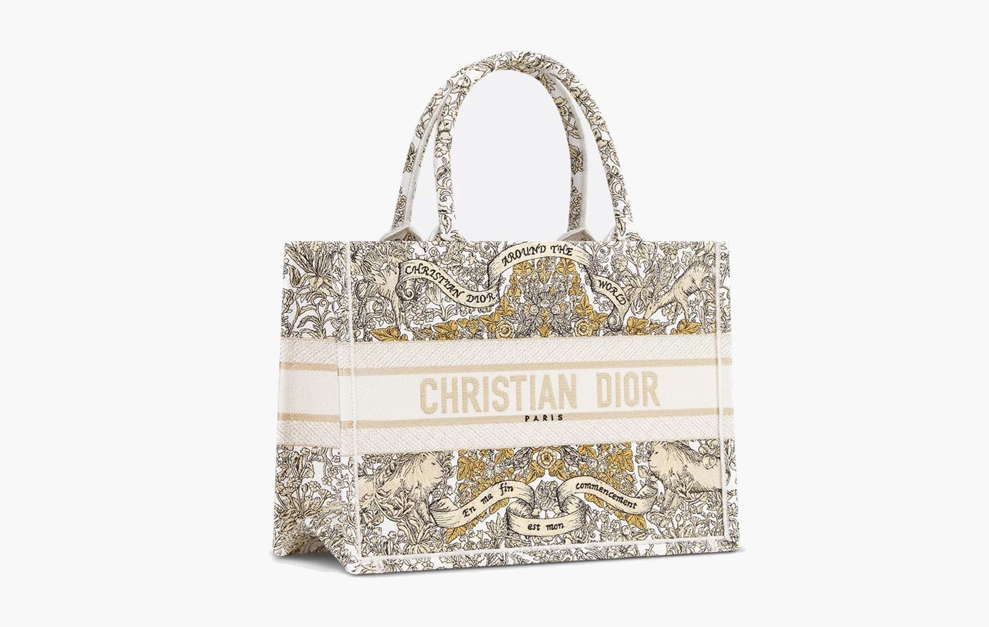 Dior Medium Dior Book Tote Gold | The Sortage