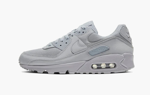 Nike Air Max 90 Triple Grey - CN8490 001 | The Sortage