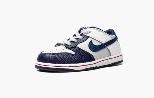 Nike Dunk Low EMB TD NBA 75th Anniversary Nets - DC9562 001 | Sortage.