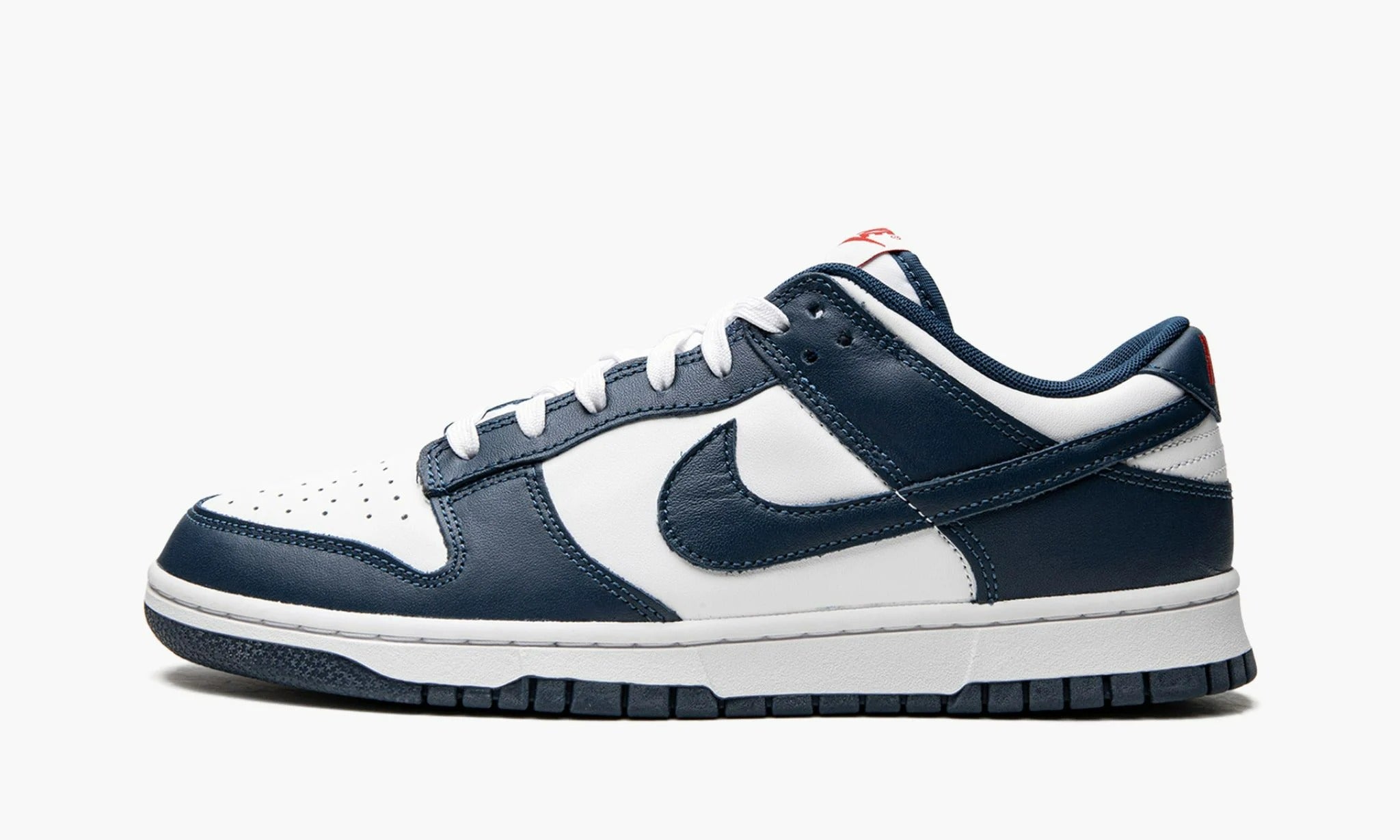 Nike on sale dunk usa